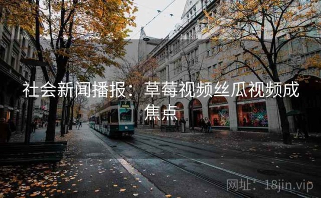 社会新闻播报：草莓视频丝瓜视频成焦点