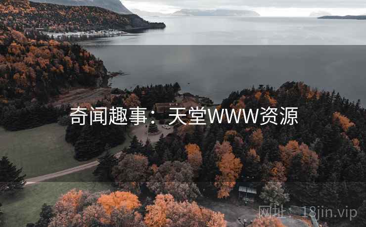 奇闻趣事：天堂WWW资源