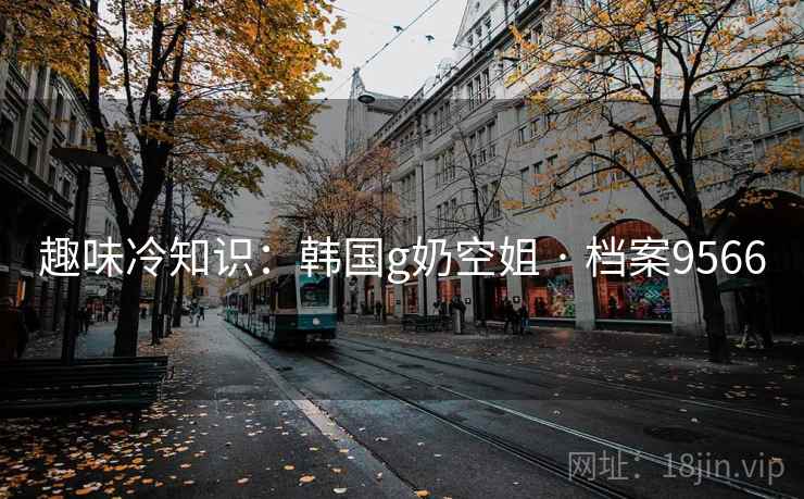 趣味冷知识：韩国g奶空姐 · 档案9566