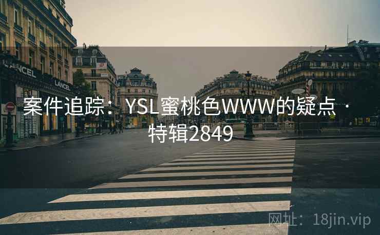 案件追踪：YSL蜜桃色WWW的疑点 · 特辑2849