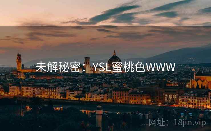 未解秘密：YSL蜜桃色WWW